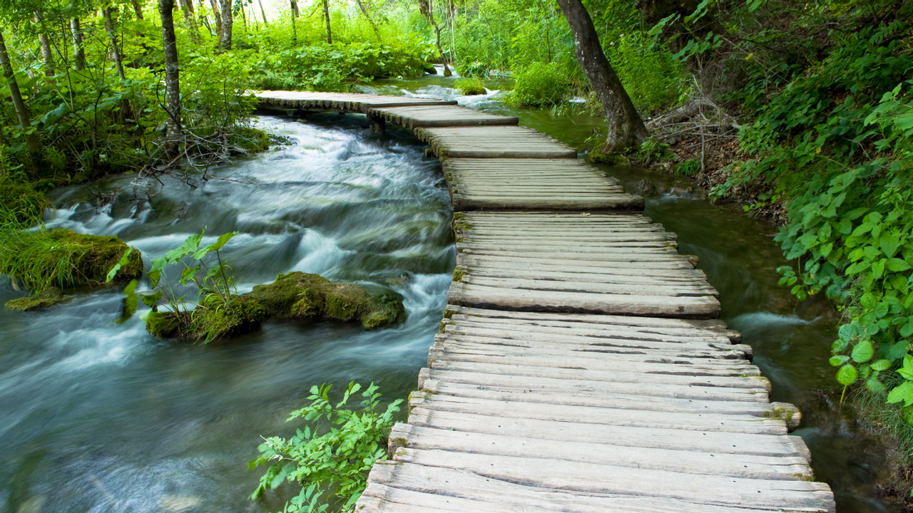 Effective Activities to Improve Your Mental Health: A Practical Guide